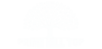 Prime Hill Top